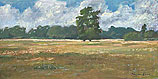 Drents landschap