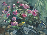 Wilde geranium
