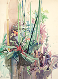 Hortus Haren