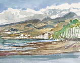 Playa de la Americas