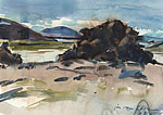 Landschap