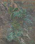 Barranco